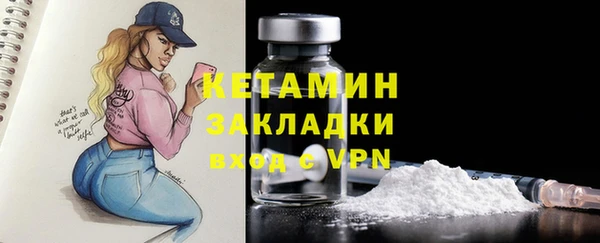 гашик Алексин