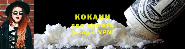 дживик Семилуки