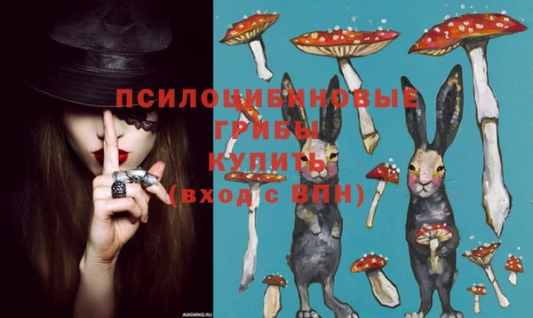 ешки Алексеевка