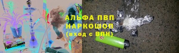 гашик Алексин