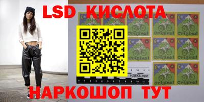 дмт Сланцы