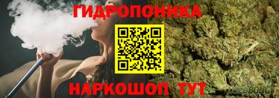 гашик Славянск-на-Кубани