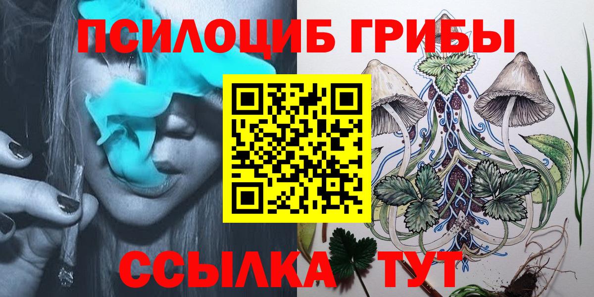 дарнет шоп  Вход с VPN  Псков  Галлюциногенные грибы MAGIC MUSHROOMS 
