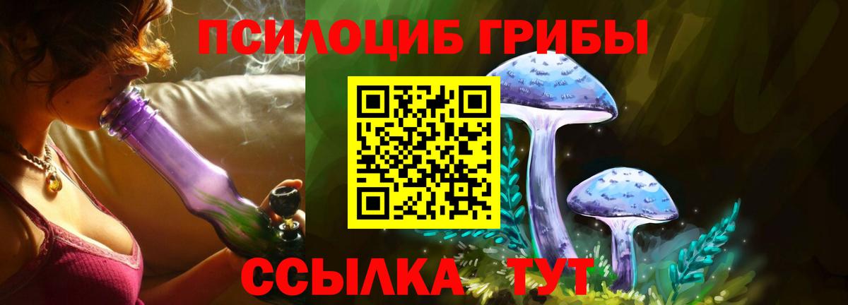 Галлюциногенные грибы Cubensis Псков